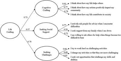 The Life Crafting Scale: Development and Validation of a Multi-Dimensional Meaning-Making Measure